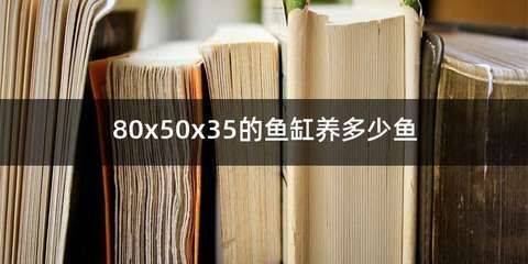 80x50的魚缸適合養(yǎng)什么魚：80x50的魚缸適合飼養(yǎng)多種熱帶魚和淡水魚