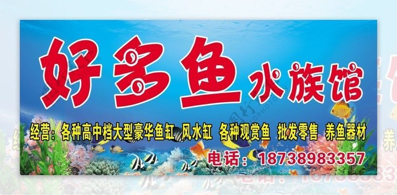 水族館門頭牌圖片大全（水族館門頭牌圖片大全展示了多種風格的水族館門頭牌） 水族館門頭牌圖片大全（水族館門頭牌圖片大全展示了多種風格的水族館門頭牌） 水族館百科（水族館加盟） 第2張