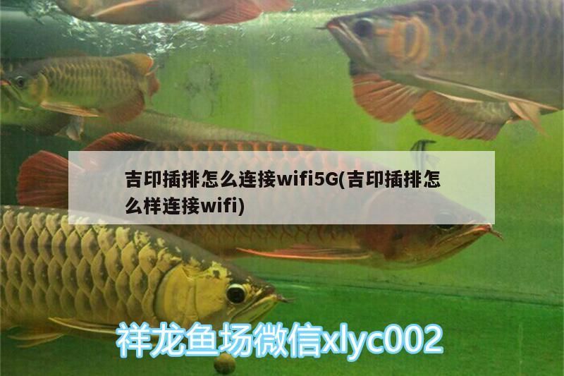 吉印插排怎么連接wifi5G(吉印插排怎么樣連接wifi)