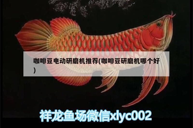 咖啡豆電動(dòng)研磨機(jī)推薦(咖啡豆研磨機(jī)哪個(gè)好)