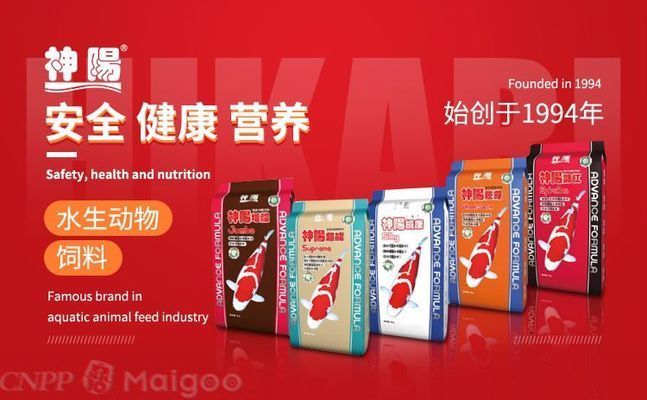祥龍水族館品牌故事分享（上海祥龍水族館）
