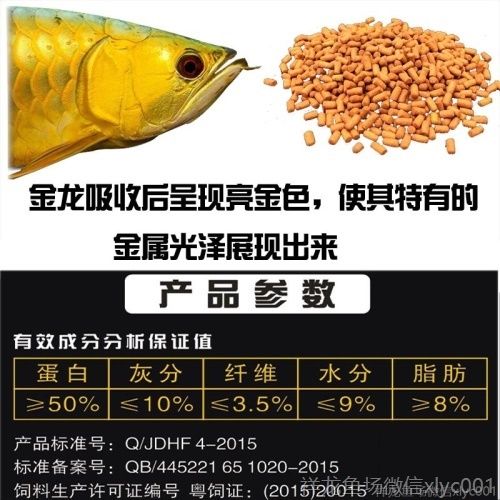 馬印龍魚飼料金龍魚飼料龍魚飼料專用魚食紅龍魚飼料龍魚飼料活體