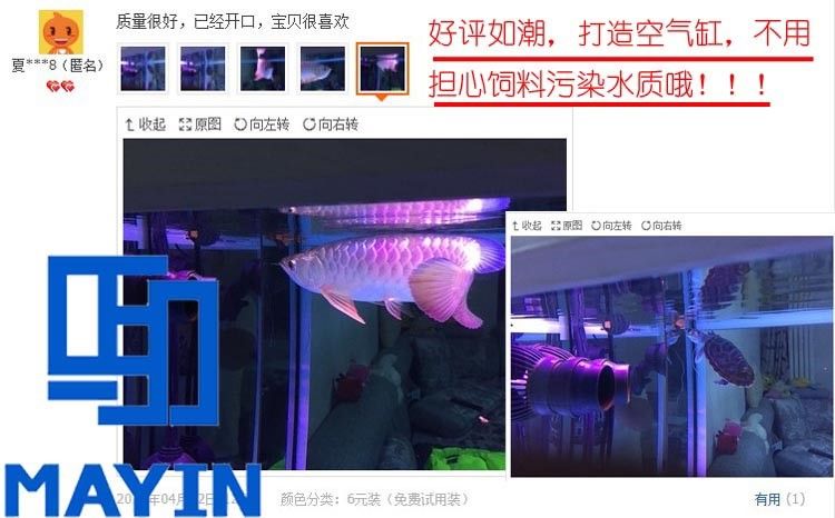 馬印龍魚飼料金龍魚飼料龍魚飼料專用魚食紅龍魚飼料龍魚飼料活體 馬印龍魚飼料金龍魚飼料龍魚飼料專用魚食紅龍魚飼料龍魚飼料活體 馬印水族 第20張