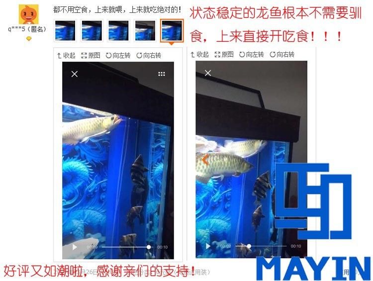 馬印龍魚飼料金龍魚飼料龍魚飼料專用魚食紅龍魚飼料龍魚飼料活體 馬印龍魚飼料金龍魚飼料龍魚飼料專用魚食紅龍魚飼料龍魚飼料活體 馬印水族 第21張
