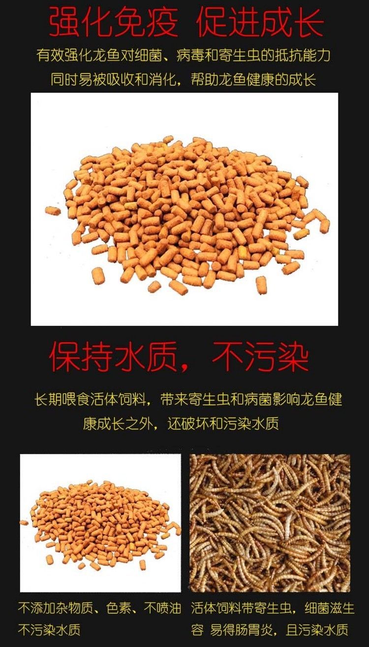 馬印龍魚飼料金龍魚飼料龍魚飼料專用魚食紅龍魚飼料龍魚飼料活體 馬印龍魚飼料金龍魚飼料龍魚飼料專用魚食紅龍魚飼料龍魚飼料活體 馬印水族 第29張