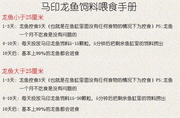 馬印龍魚飼料金龍魚飼料龍魚飼料專用魚食紅龍魚飼料龍魚飼料活體 馬印龍魚飼料金龍魚飼料龍魚飼料專用魚食紅龍魚飼料龍魚飼料活體 馬印水族 第31張