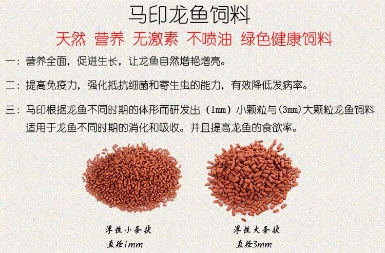 馬印龍魚飼料金龍魚飼料龍魚飼料專用魚食紅龍魚飼料龍魚飼料活體 馬印龍魚飼料金龍魚飼料龍魚飼料專用魚食紅龍魚飼料龍魚飼料活體 馬印水族 第33張