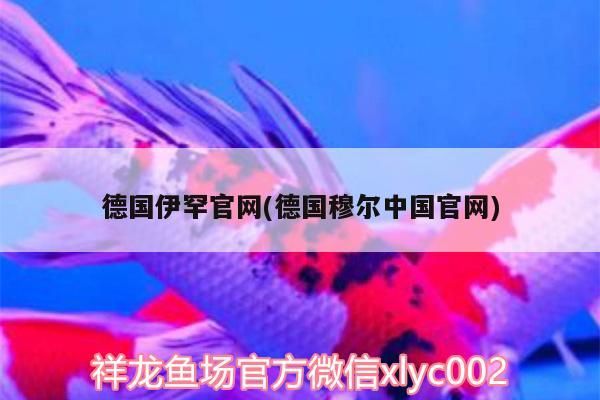 德國伊罕官網(德國穆爾中國官網)