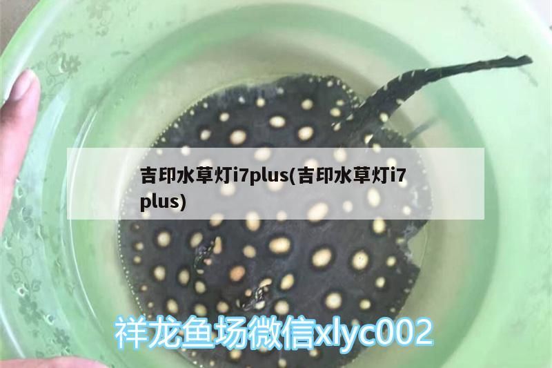 吉印水草燈i7plus(吉印水草燈i7plus) 吉印水草燈i7plus(吉印水草燈i7plus) 吉印水族