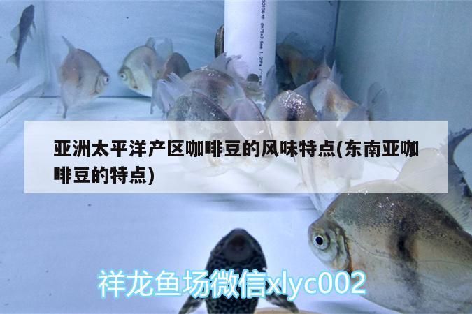 亞洲太平洋產區咖啡豆的風味特點(東南亞咖啡豆的特點)