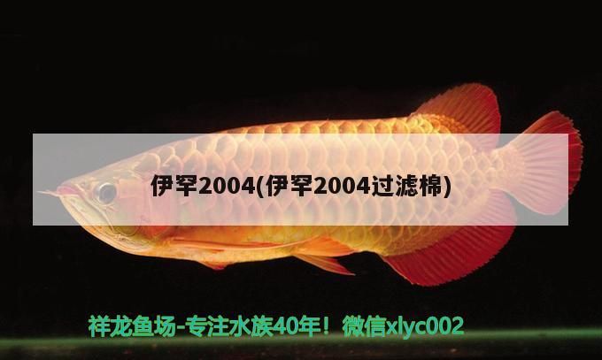 龍魚食欲不振怎么辦，龍魚狀態不錯卻不吃食怎么辦？