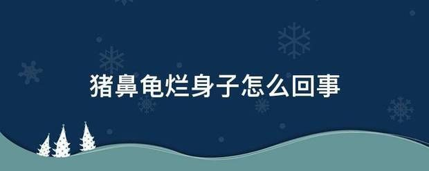 豬鼻龜渾身都爛了怎么辦啊：豬鼻龜渾身爛身子怎么處理豬鼻龜爛身子怎么處理 豬鼻龜渾身都爛了怎么辦啊：豬鼻龜渾身爛身子怎么處理豬鼻龜爛身子怎么處理 豬鼻龜百科 第4張