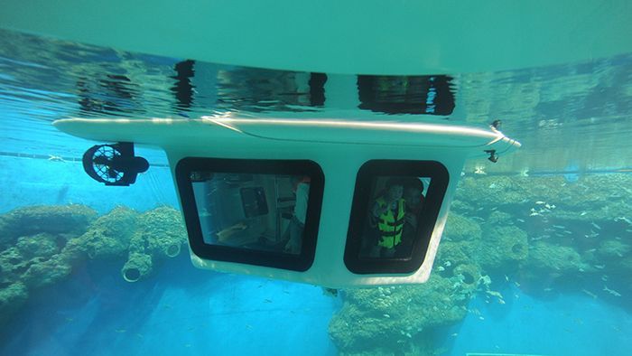 成都水族館在哪里（成都水族館親子活動(dòng)安排）