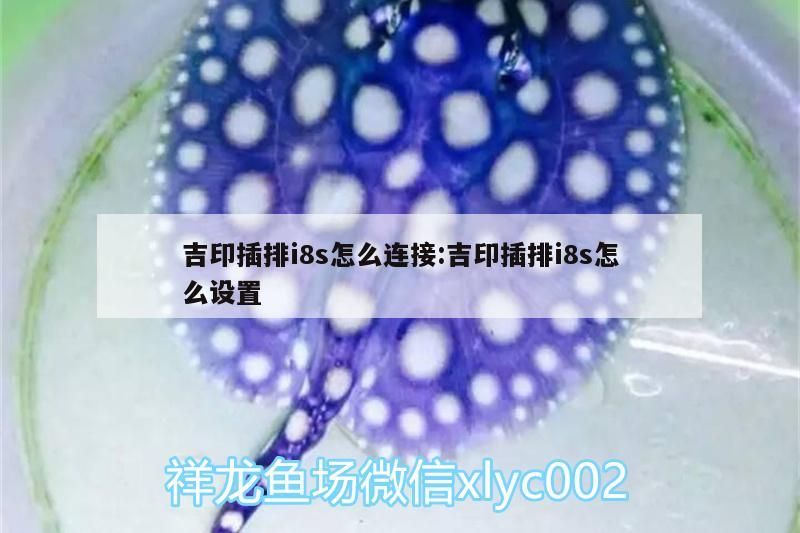 吉印插排i8s怎么連接:吉印插排i8s怎么設置