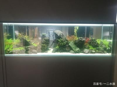 2米魚缸用多長(zhǎng)燈：2米長(zhǎng)的魚缸全光譜水草燈需要考慮的因素是什么燈 2米魚缸用多長(zhǎng)燈：2米長(zhǎng)的魚缸全光譜水草燈需要考慮的因素是什么燈 魚缸百科 第1張