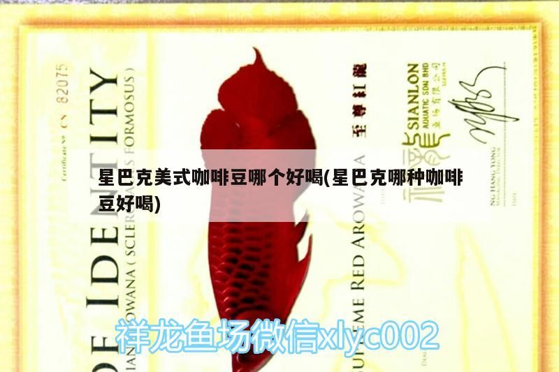 星巴克美式咖啡豆哪個(gè)好喝(星巴克哪種咖啡豆好喝)