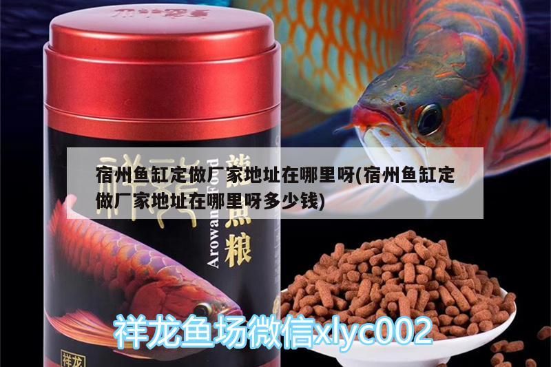宿州魚缸定做廠家地址在哪里呀(宿州魚缸定做廠家地址在哪里呀多少錢) 宿州魚缸定做廠家地址在哪里呀(宿州魚缸定做廠家地址在哪里呀多少錢) 可麗愛魚缸
