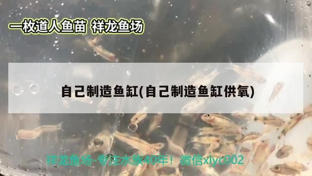 自己制造魚缸(自己制造魚缸供氧)
