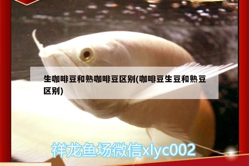生咖啡豆和熟咖啡豆區別(咖啡豆生豆和熟豆區別)