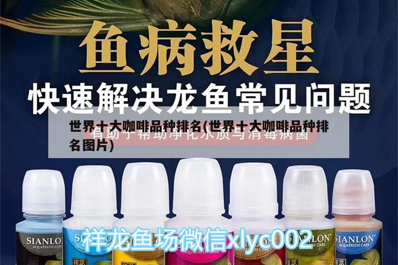 世界十大咖啡品種排名(世界十大咖啡品種排名圖片)