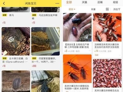 入戶門玄關設計指南，如何選擇最適合的玄關風格與功能，入戶門玄關設計指南，風格選擇與功能優化全解析