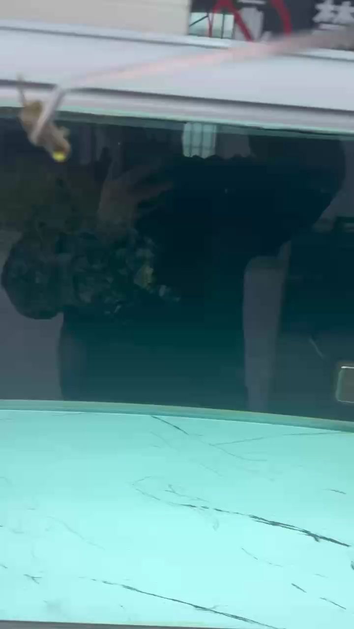 很愛吃青蛙