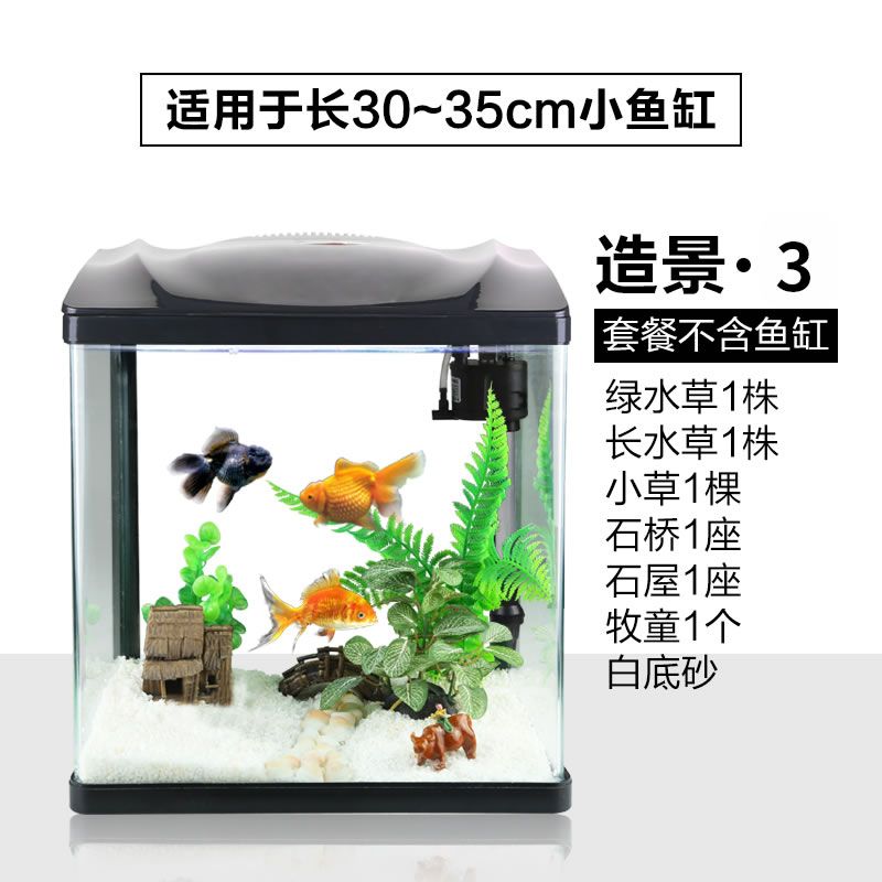 入戶門貔貅正確擺放圖，招財納福的風水布局指南，入戶門貔貅正確擺放圖解，招財納福的風水布局全指南