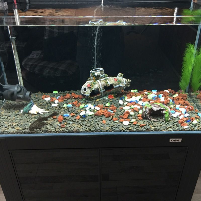 30×60魚缸造景圖片：30×60魚缸造景圖片水草缸造景圖片展示不同類型的造景風格和技巧