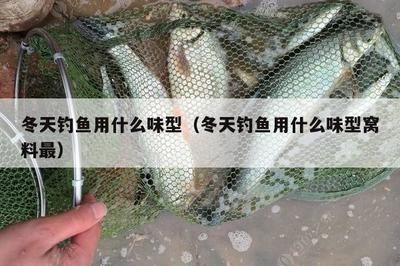 如何借運吸走別人的運氣，揭秘神秘能量轉移的真相與倫理，揭秘借運吸運，能量轉移的玄學真相與道德邊界