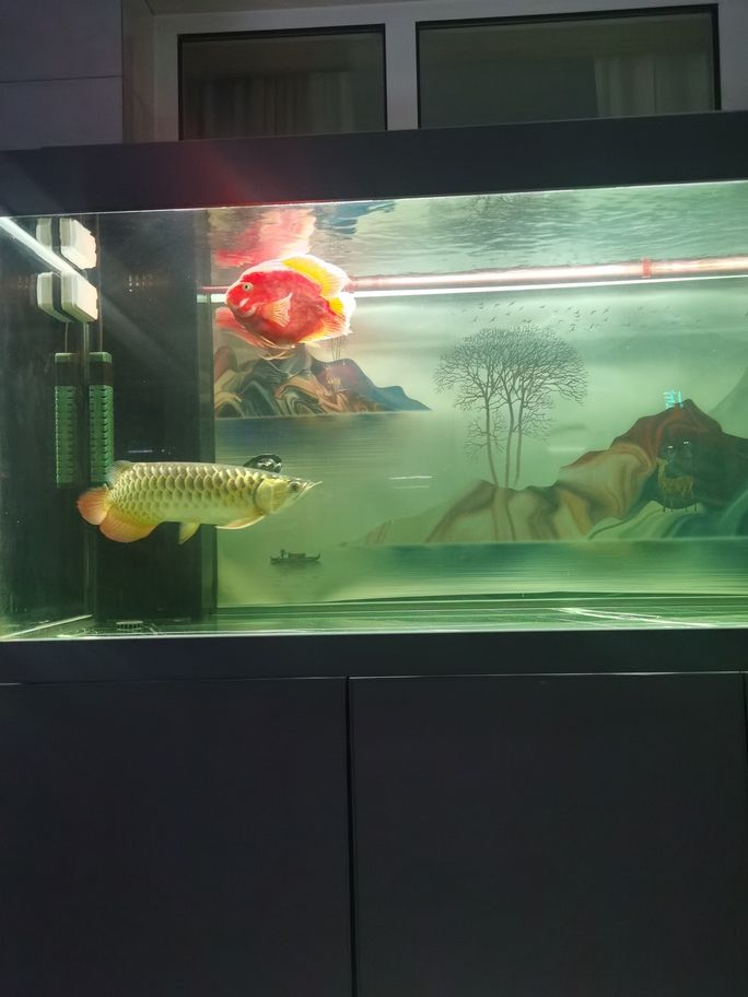 準(zhǔn)備換神燈，換燈前記錄一下