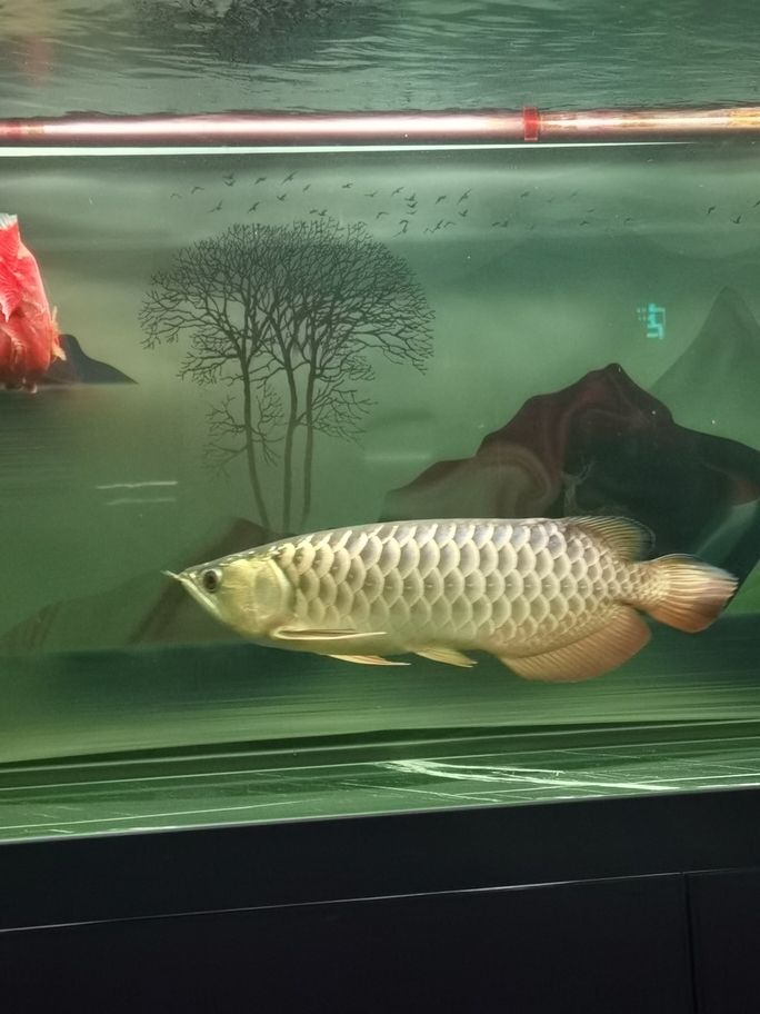 準(zhǔn)備換神燈，換燈前記錄一下