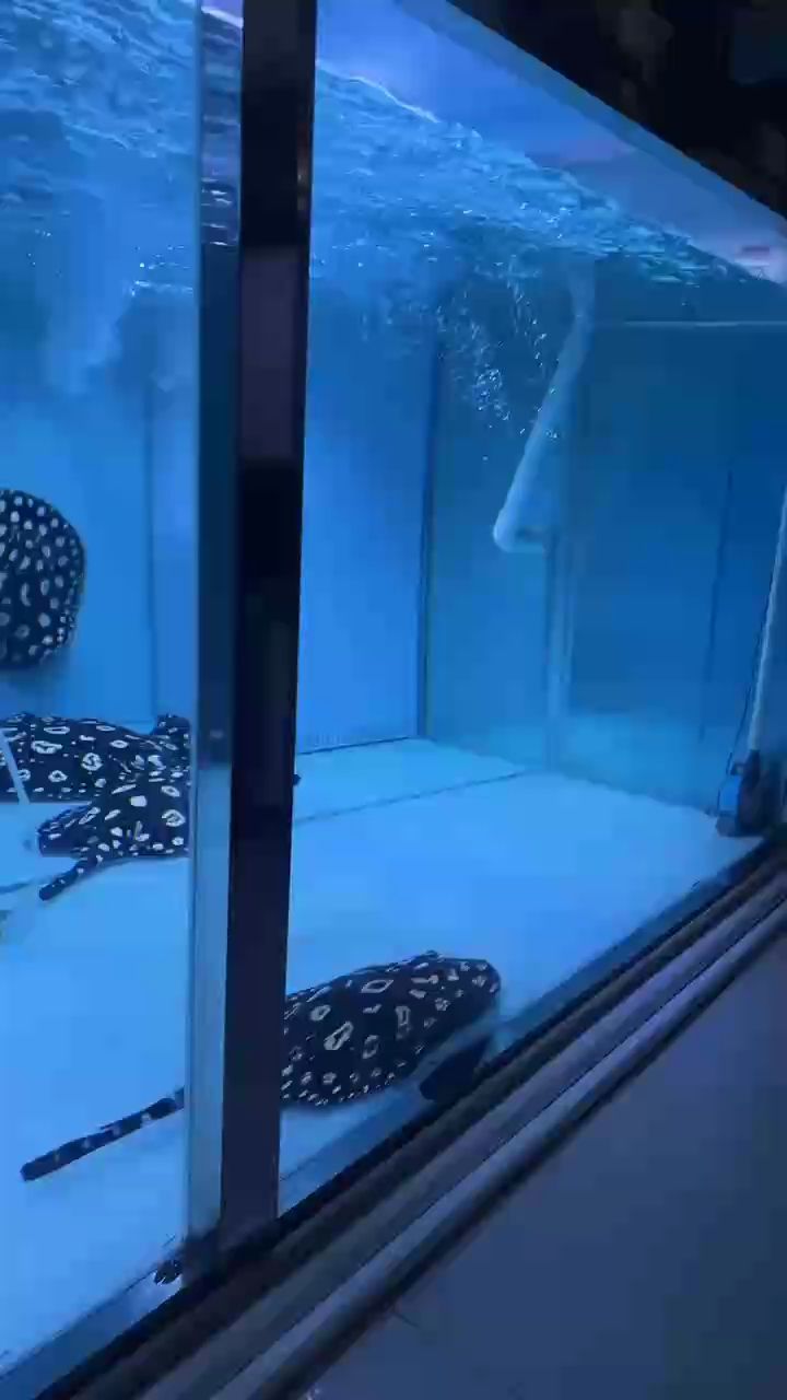 #下班后的快樂