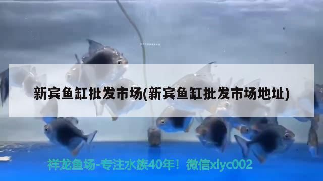 新賓魚缸批發市場(新賓魚缸批發市場地址)