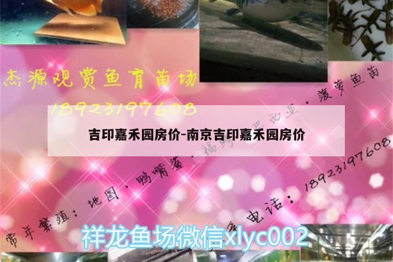 吉印嘉禾園房價:南京吉印嘉禾園房價