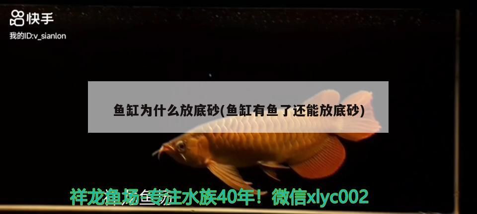 魚缸用增氧泵價格是多少:魚缸增氧機-xtrac增氧機-xtrac增氧機 魚缸為什么放底砂(魚缸有魚了還能放底砂) 九鼎魚缸 魚缸為什么放底砂(魚缸有魚了還能放底砂) 魚缸為什么放底砂(魚缸有魚了還能放底砂) 九鼎魚缸