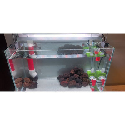 魚缸放在入戶門一側（魚缸放在入戶門一側好嗎）