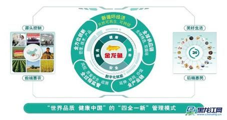金龍魚(yú)日常健康管理要點(diǎn)：金龍魚(yú)健康管理的幾個(gè)要點(diǎn)