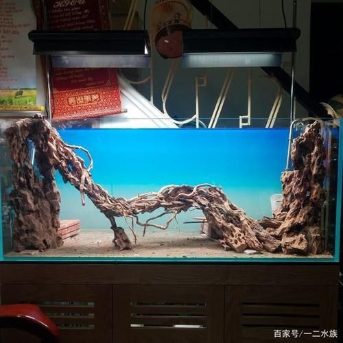 創寧是中山日寶產的嗎（創寧水泵官方網站）