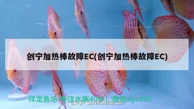 創寧加熱棒故障EC(創寧加熱棒故障EC) 創寧加熱棒故障EC(創寧加熱棒故障EC) 創寧水族 第1張