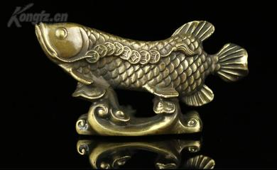 全球最貴的魚第一名，揭秘天價(jià)魚類的神秘世界，揭秘全球最貴魚類，天價(jià)魚類的神秘世界