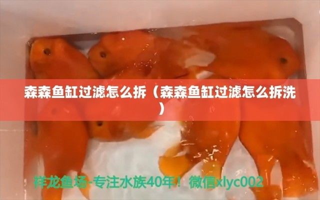 魚缸國(guó)際品牌排行（魚缸國(guó)際品牌排行榜前十名）