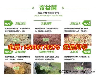 清洗魚缸的簡單方法，輕松保持水質清澈，輕松掌握魚缸清洗技巧，讓水質持久清澈如新