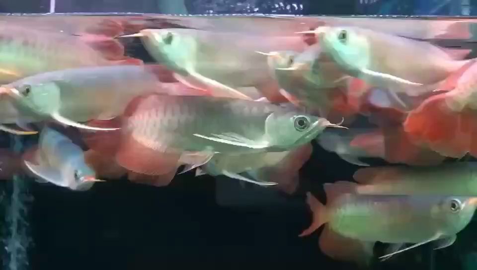 加溫開啟??
