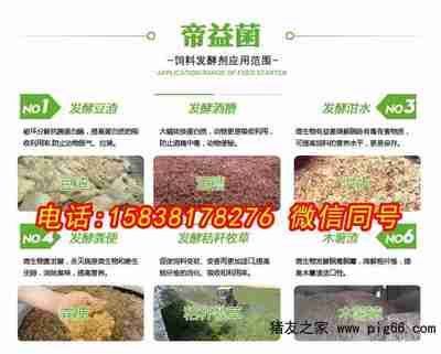 化糞池清理，重要性、步驟與注意事項，化糞池清理的重要性、步驟與注意事項全解析 化糞池清理，重要性、步驟與注意事項，化糞池清理的重要性、步驟與注意事項全解析 龍魚百科 第2張