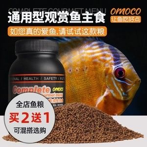 清潔魚排名第一名冷水魚，黃金大胡子魚，黃金大胡子魚，冷水魚中的清潔冠軍 清潔魚排名第一名冷水魚，黃金大胡子魚，黃金大胡子魚，冷水魚中的清潔冠軍 龍魚百科 第3張