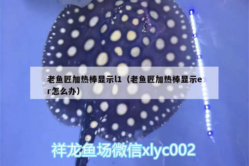 老魚匠加熱棒顯示l1（老魚匠加熱棒顯示er怎么辦） 老魚匠加熱棒顯示l1（老魚匠加熱棒顯示er怎么辦） 老魚匠