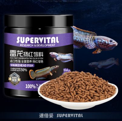 麒麟之子的母親是命苦嗎？神話、宿命與母性的雙重解讀，麒麟之子的母親，神話中的宿命困境與母性光輝的雙重敘事 麒麟之子的母親是命苦嗎？神話、宿命與母性的雙重解讀，麒麟之子的母親，神話中的宿命困境與母性光輝的雙重敘事 龍魚百科 第2張