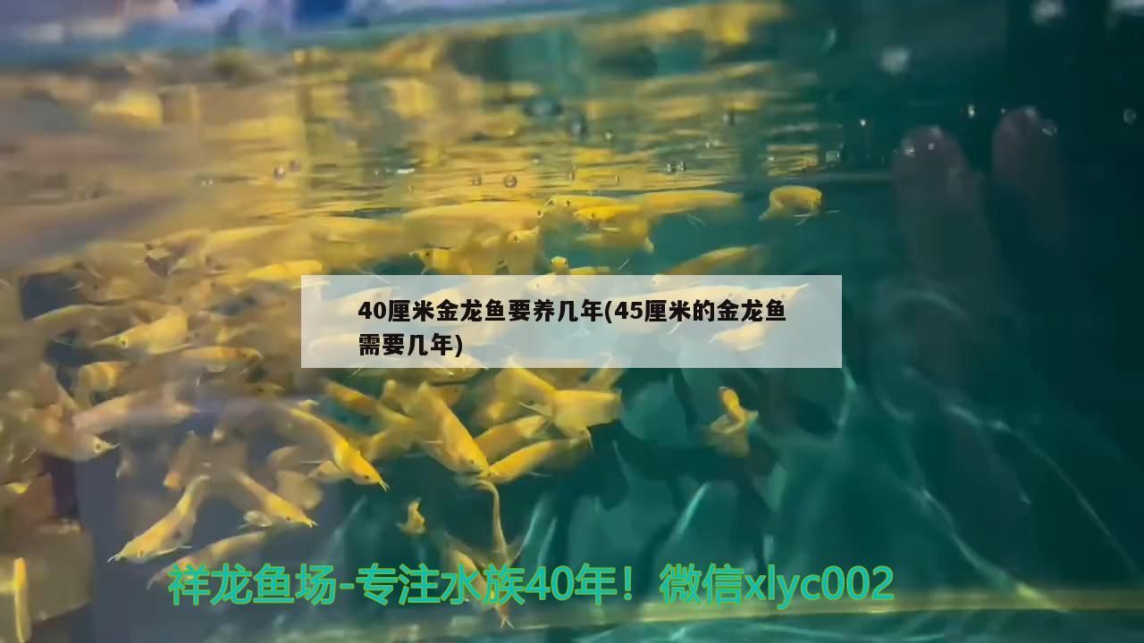 吉印魚缸燈怎么樣好用嗎視頻：魚缸燈具led用哪個牌子好