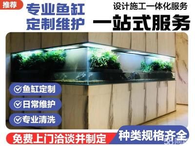 麒麟的風水作用，祥瑞之獸如何帶來好運與平安，祥瑞麒麟，風水布局中招財納福的靈獸奧秘