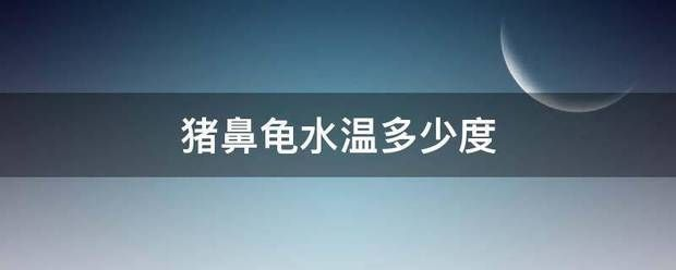 豬鼻龜20度會死嗎：豬鼻龜干養一天會死嗎